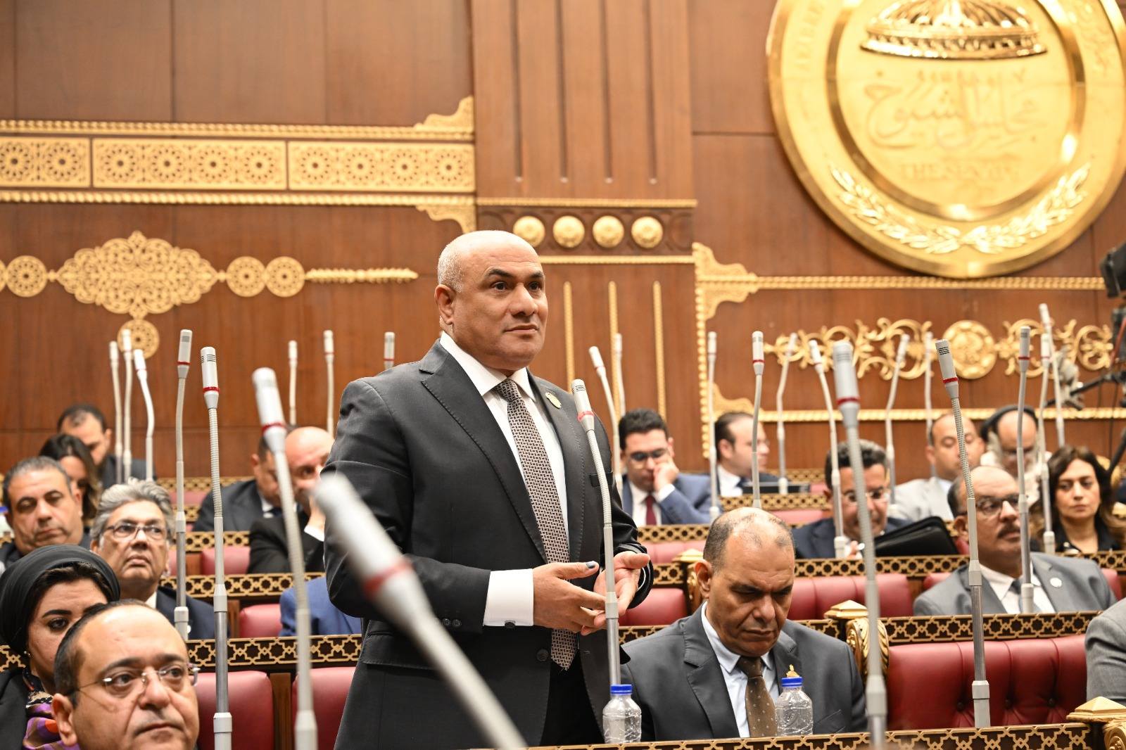 النائب شعبان رأفت